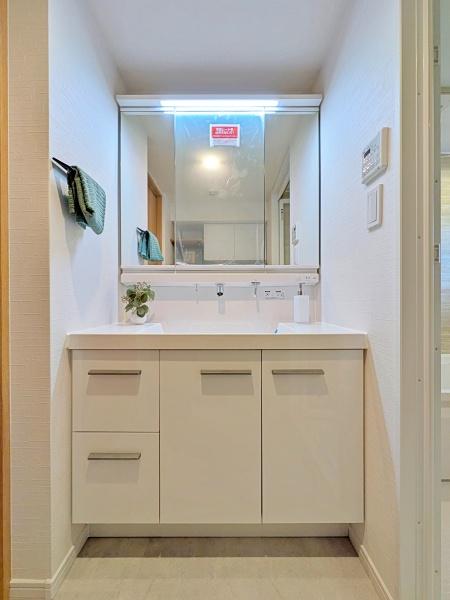 �_�ސ쌧���l�s�ۓy�P�J�敧�����̒��Ã}���V�����̐��ʑ�E���ʏ�