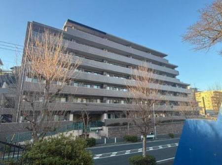 �_�ސ쌧���l�s���Z�c��3���ڂ̒��Ã}���V�����̌��n�O�ώʐ^