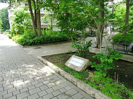 �_�ސ쌧���͌��s��擌�ъ�8���ڂ̐V�z��ˌ��Ă̎��ӊ�