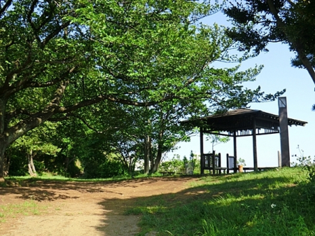 �_�ސ쌧���s�����扤�T����1���ڂ̒��Ã}���V�����̎��ӊ�