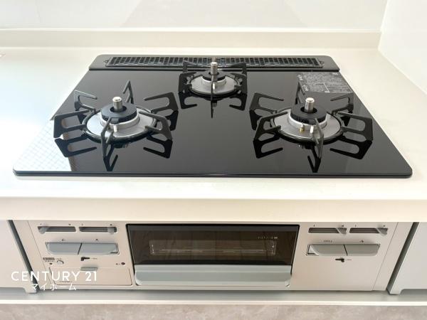 �_�ސ쌧���l�s���搼�˕���3���ڂ̐V�z��ˌ��ẴL�b�`��