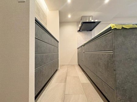 �_�ސ쌧���l�s�`�k��V���l1���ڂ̒��Ã}���V�����̃L�b�`��