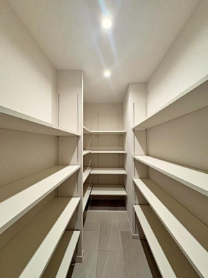 �_�ސ쌧���l�s�`�k��V���l1���ڂ̒��Ã}���V�����̎��[