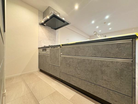 �_�ސ쌧���l�s�`�k��V���l1���ڂ̒��Ã}���V�����̃L�b�`��