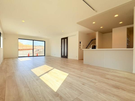 �_�ސ쌧���l�s�h��c�J���̐V�z��ˌ��Ẵ��r���O