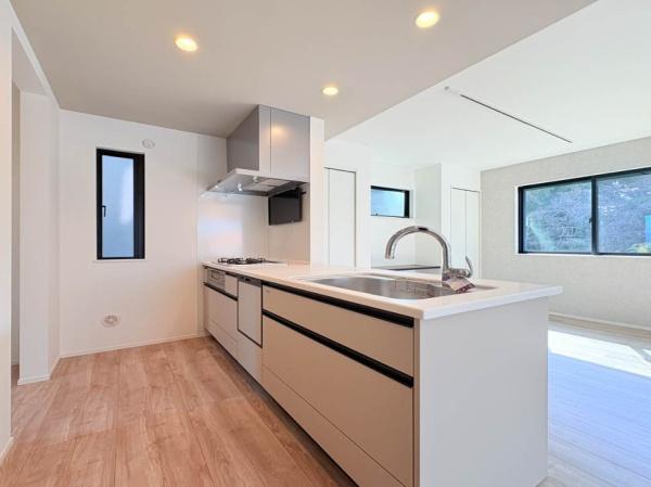 �_�ސ쌧���l�s�h��c�J���̐V�z��ˌ��ẴL�b�`��