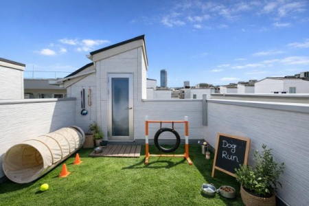 �_�ސ쌧���l�s�`�k����k1���ڂ̒��È�ˌ��Ẵo���R�j�[