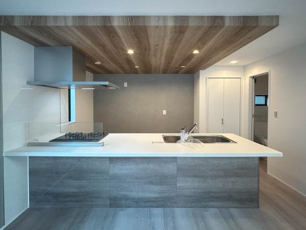 �_�ސ쌧���l�s����{�q�Ԗ�̐V�z��ˌ��ẴL�b�`��