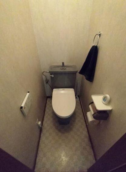 �_�ސ쌧���l�s�_�ސ��O�����̒��È�ˌ��Ẵg�C��