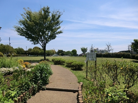 �_�ސ쌧���l�s�`������5���ڂ̒��È�ˌ��Ă̎��ӊ�