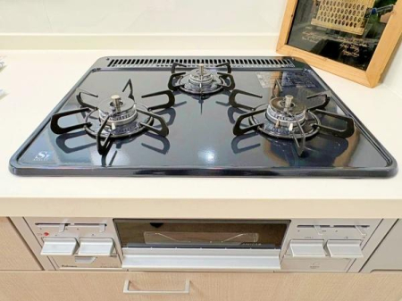 �_�ސ쌧���l�s�t��c�ޒ��̒��È�ˌ��ẴL�b�`��