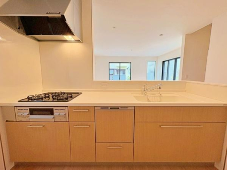 �_�ސ쌧���l�s�����\����ʂ̐V�z��ˌ��ẴL�b�`��