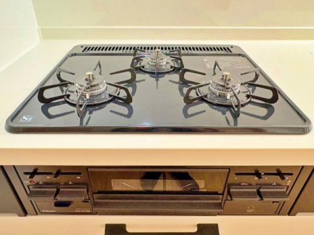 �_�ސ쌧���l�s���Z�c��4���ڂ̒��È�ˌ��ẴL�b�`��