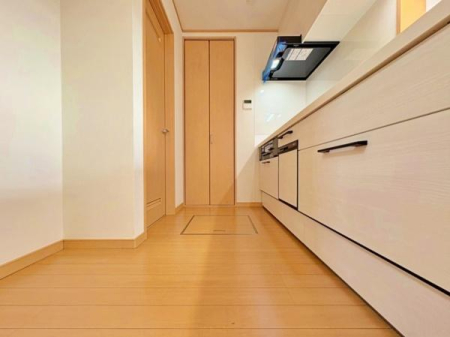 �_�ސ쌧���l�s���Z�c��4���ڂ̒��È�ˌ��ẴL�b�`��