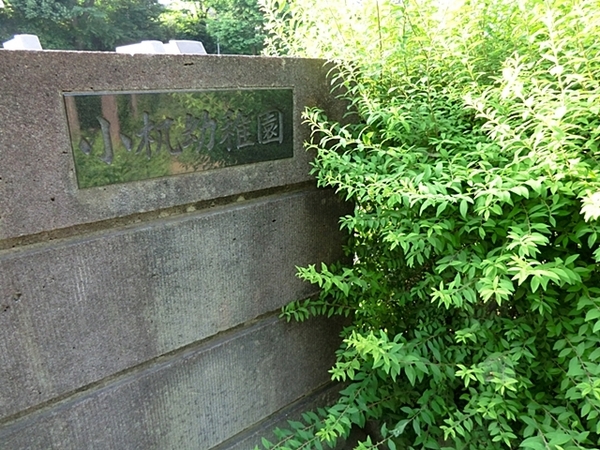 �_�ސ쌧���l�s�`�k�揬�����̒��Ã}���V�����̎��ӊ�