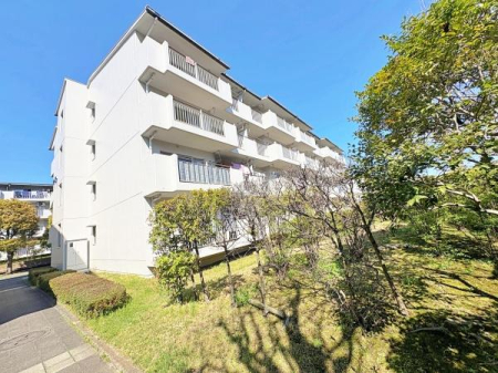 �_�ސ쌧���l�s��������3���ڂ̒��Ã}���V�����̌��n�O�ώʐ^