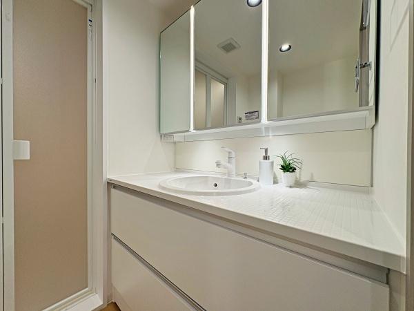 �_�ސ쌧���l�s�s�}�捲�]�˒��̒��Ã}���V�����̐��ʑ�E���ʏ�