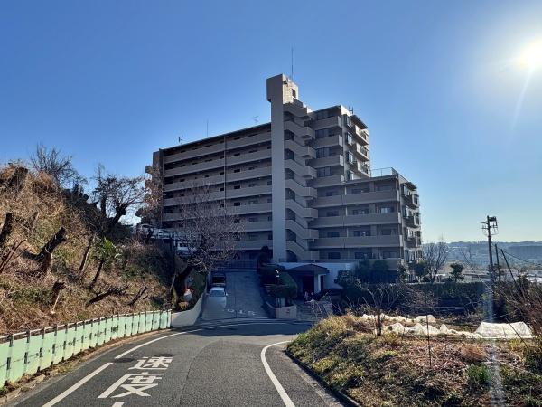 �_�ސ쌧���l�s�s�}�捲�]�˒��̒��Ã}���V�����̌��n�O�ώʐ^