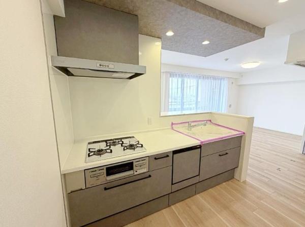 �_�ސ쌧����s�P�s��2���ڂ̒��Ã}���V�����̃L�b�`��