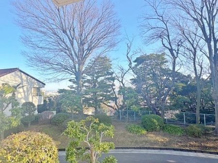 �_�ސ쌧���l�s���捪�݉��]��̒��Ã}���V�����̉摜