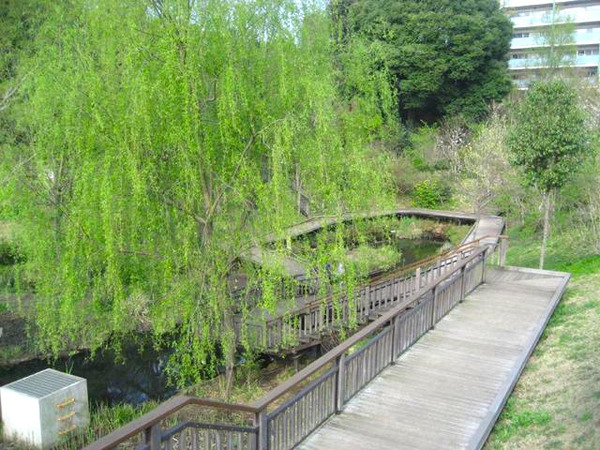 �_�ސ쌧���s�{�O�挢��2���ڂ̒��Ã}���V�����̎��ӊ�