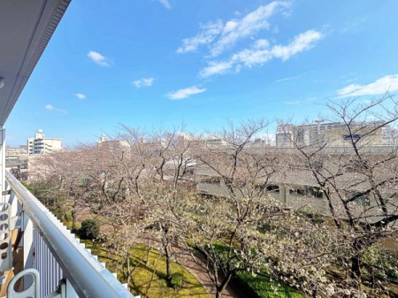 �_�ސ쌧���s���拞��3���ڂ̒��Ã}���V�����̏Z�˂���̒��]�ʐ^