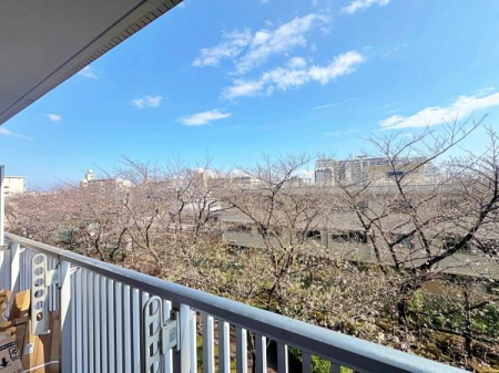 �_�ސ쌧���s���拞��3���ڂ̒��Ã}���V�����̏Z�˂���̒��]�ʐ^