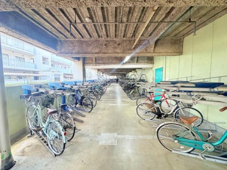 �_�ސ쌧���s���拞��3���ڂ̒��Ã}���V�����̂��̑����p��