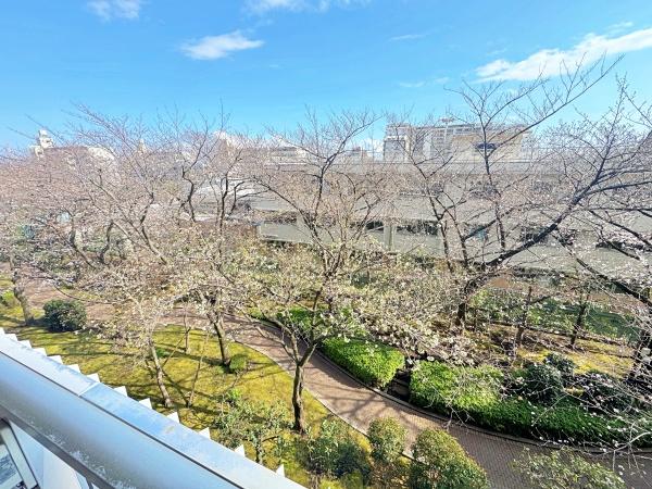 �_�ސ쌧���s���拞��3���ڂ̒��Ã}���V�����̏Z�˂���̒��]�ʐ^