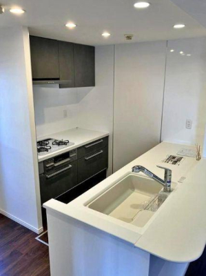 �_�ސ쌧���l�s�˒ˋ�����̒��Ã}���V�����̃L�b�`��