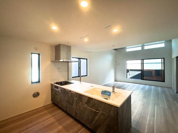 �_�ސ쌧���l�s�˒ˋ�˒˒��̐V�z��ˌ��ẴL�b�`��