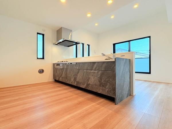 �_�ސ쌧���l�s�s�}���a���̐V�z��ˌ��Ẵ��r���O