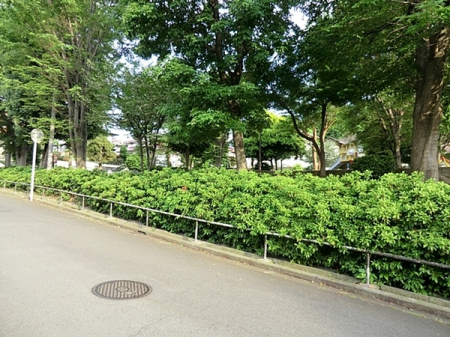 �_�ސ쌧���l�s���捡�h2���ڂ̐V�z��ˌ��Ă̎��ӊ�