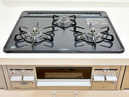 �_�ސ쌧����s���q�̒��È�ˌ��ẴL�b�`��