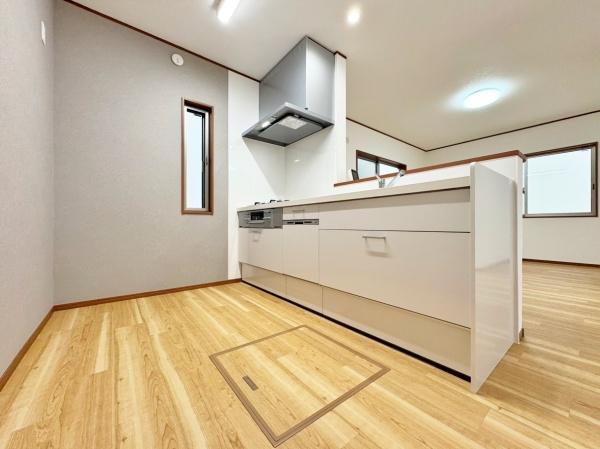 �_�ސ쌧����s���q�̒��È�ˌ��ẴL�b�`��