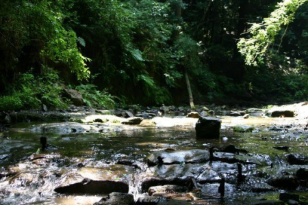 �_�ސ쌧���l�s�ۓy�P�J��쓇���̐V�z��ˌ��Ă̎��ӊ�