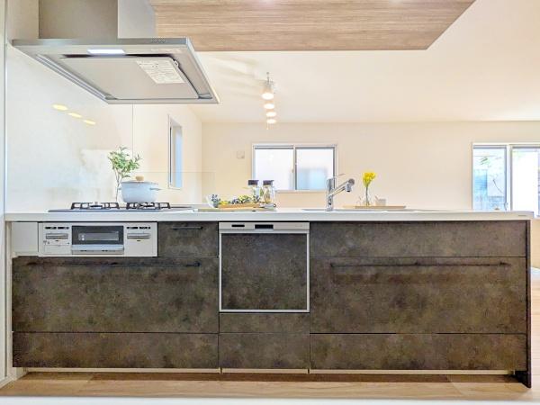 �����s���c�s�ʐ�w��4���ڂ̐V�z��ˌ��ẴL�b�`��