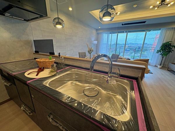 �����s���c�s����6���ڂ̒��Ã}���V�����̃L�b�`��