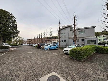 �����s���c�s����6���ڂ̒��Ã}���V�����̉摜