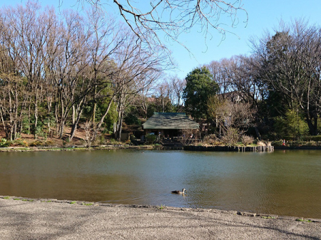 �_�ސ쌧���l�s�s�}�撇����5���ڂ̒��Ã}���V�����̎��ӊ�