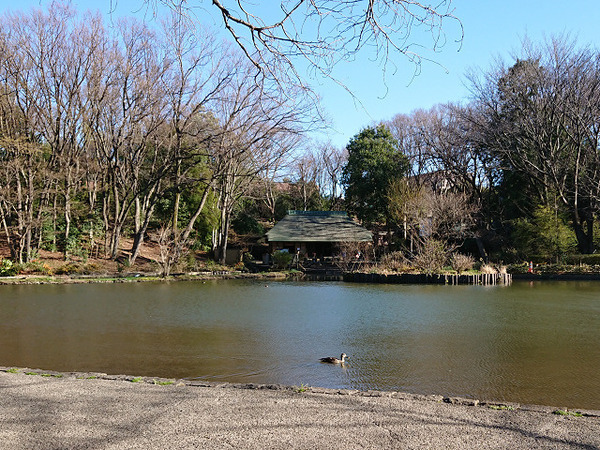 �_�ސ쌧���l�s�s�}�撇����5���ڂ̒��Ã}���V�����̎��ӊ�