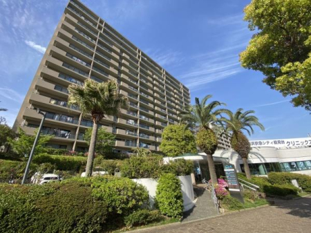 �_�ސ쌧���l�s�����\����4���ڂ̒��Ã}���V�����̌��n�O�ώʐ^