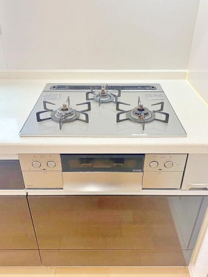 �_�ސ쌧���l�s���J����1���ڂ̒��È�ˌ��ẴL�b�`��