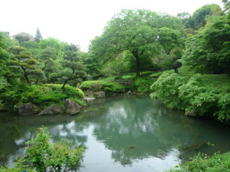 �_�ސ쌧���l�s����߃P��2���ڂ̐V�z��ˌ��Ă̎��ӊ�