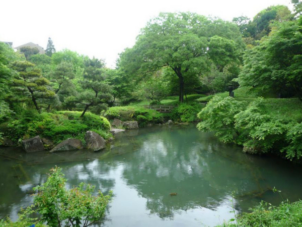 �_�ސ쌧���l�s����߃P��2���ڂ̐V�z��ˌ��Ă̎��ӊ�