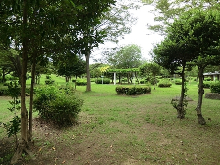 �_�ސ쌧����s���1���ڂ̒��È�ˌ��Ă̎��ӊ�