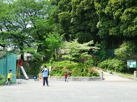 �_�ސ쌧���l�s�_�ސ��_�厛1���ڂ̒��Ã}���V�����̎��ӊ�
