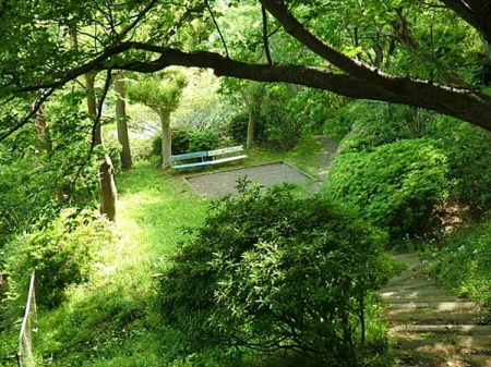 �_�ސ쌧���q�s�J�c5���ڂ̒��È�ˌ��Ă̎��ӊ�