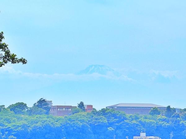 �_�ސ쌧����s���x�̐V�z��ˌ��Ă̏Z�˂���̒��]�ʐ^