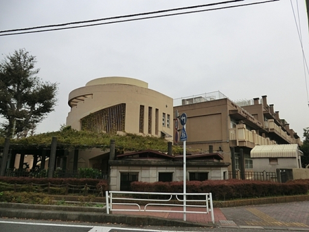 �_�ސ쌧���l�s����y�P�J�����̒��Ã}���V�����̎��ӊ�